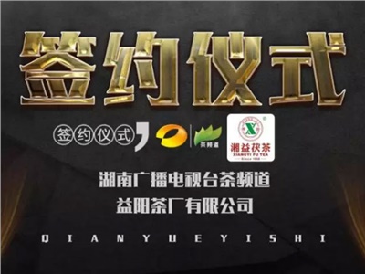 湘益茯，美茗揚 丨湘益茯茶與茶頻道達成長(cháng)期戰略合作