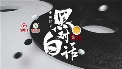 首屆黑白對話(huà)高峰論壇圓滿(mǎn)落幕！湘益茯茶備受關(guān)注！