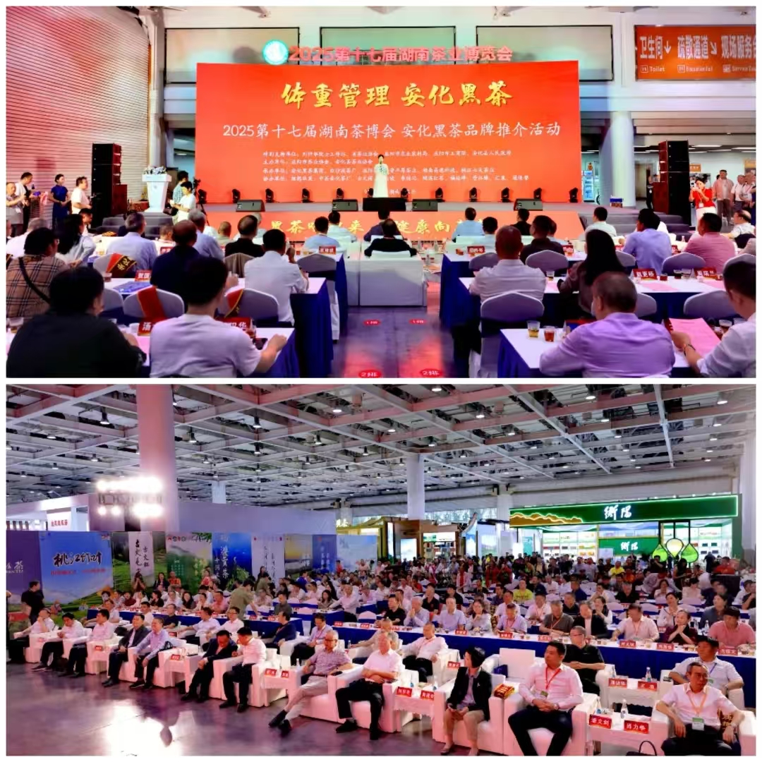 破局邊銷(xiāo)二十載，開(kāi)啟茯茶新紀元——湘益茯茶“紀廿”新品璀璨發(fā)布